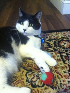 Here is Prilla STOPPING a ball from rolling. SHE IS A CHANGE STOPPER.
